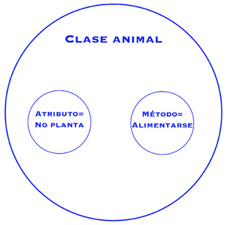 Clase animal.